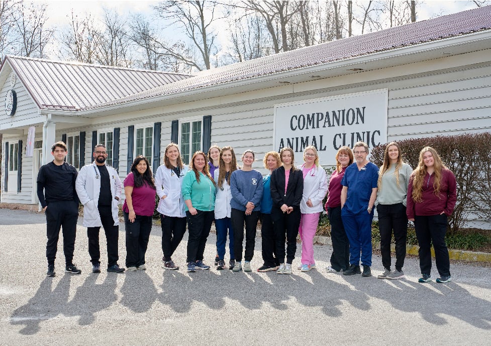 Companion Animal Clinic team infront of vet hospital signange