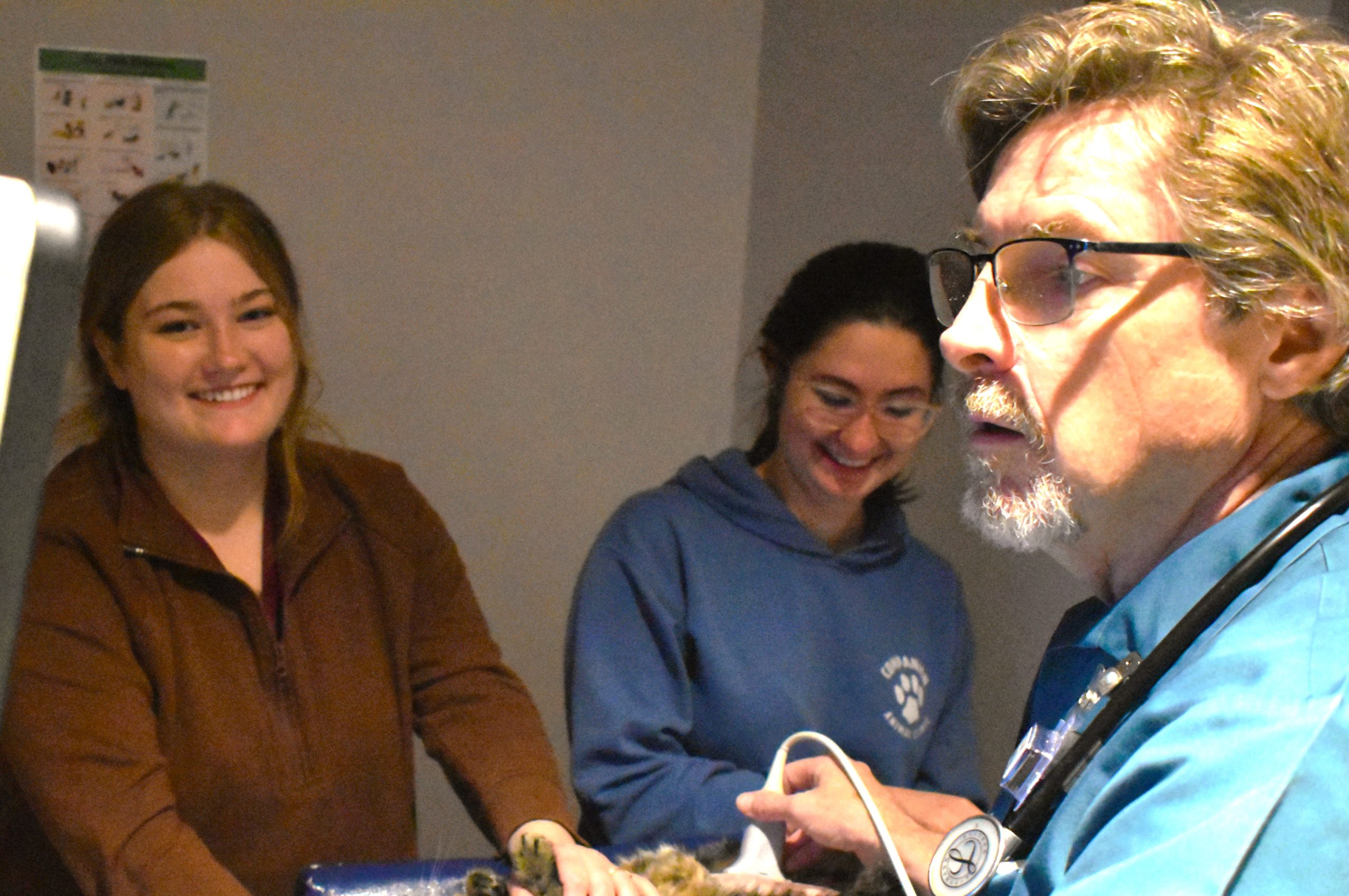 Alexa, Keely, McCormick- US 1 Dog In Veterinary Examination Room