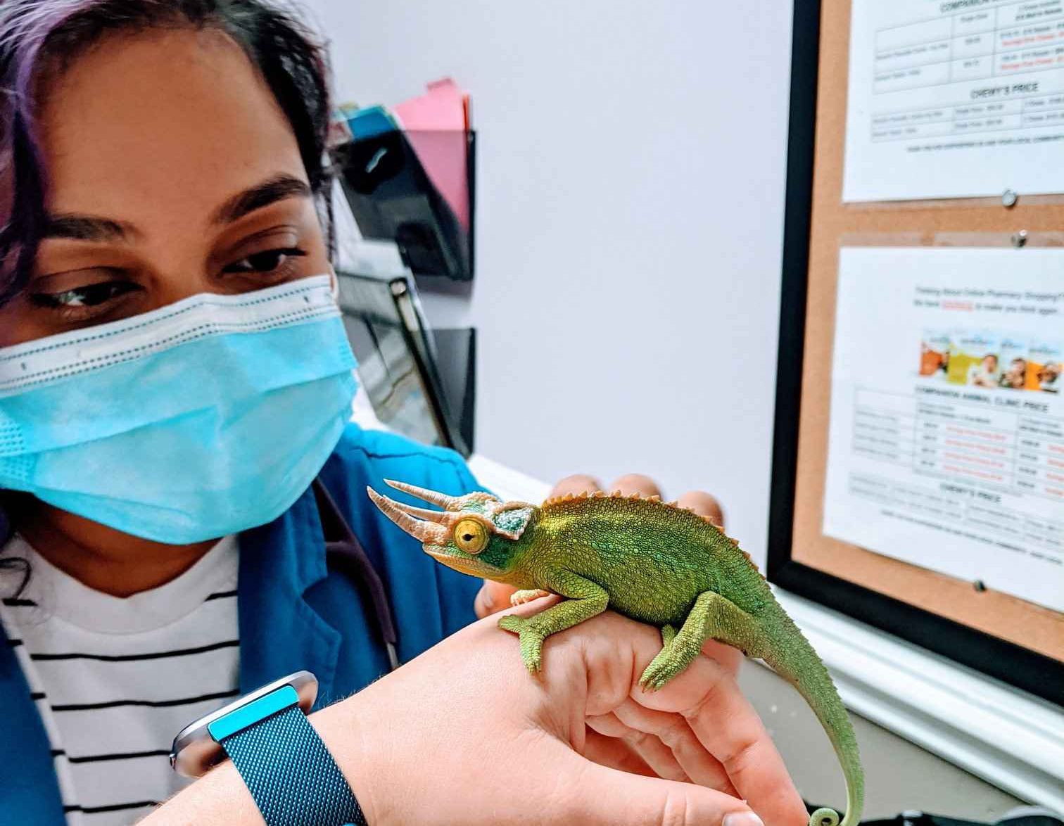 Dr Kadam with a reptile