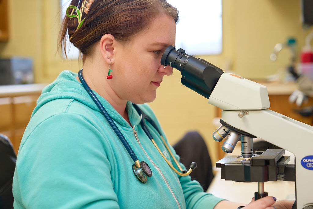Veterinary Medicine