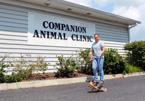 Companion's Veterinary Location & Staff Companion Animal Clinic Entrance